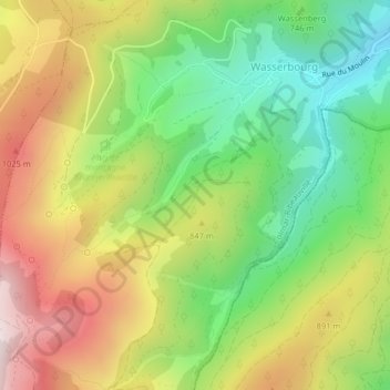 Topografische kaart Bannwald, hoogte, reliëf