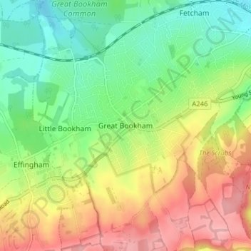 Topografische kaart Great Bookham, hoogte, reliëf