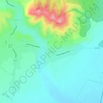 Topografische kaart Țintea, hoogte, reliëf