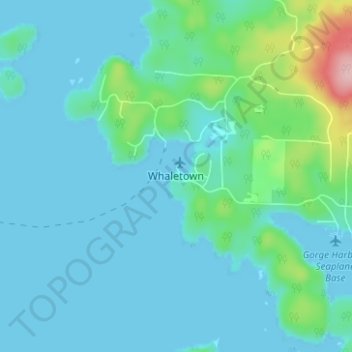 Topografische kaart Whaletown, hoogte, reliëf