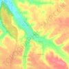 Topografische kaart Bicas, hoogte, reliëf