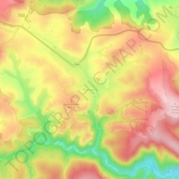 Topografische kaart Păniceni, hoogte, reliëf