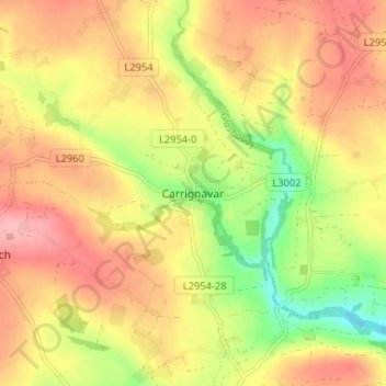 Topografische kaart Carrignavar, hoogte, reliëf
