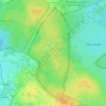 Topografische kaart Edese Bos - Oost, hoogte, reliëf