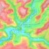 Topografische kaart Waldfischbach, hoogte, reliëf