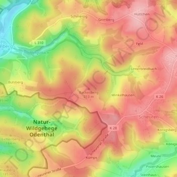 Topografische kaart Backesberg, hoogte, reliëf