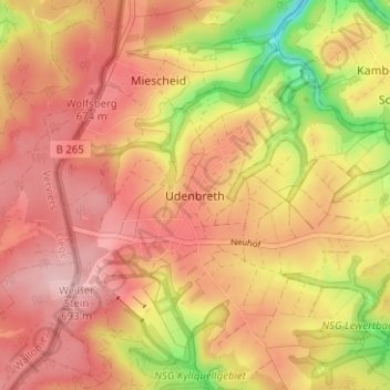 Topografische kaart Udenbreth, hoogte, reliëf