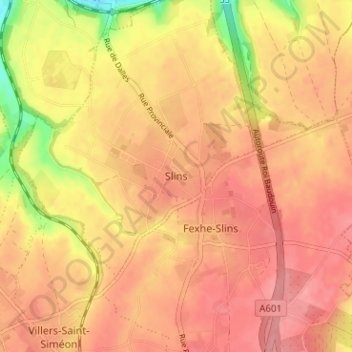 Topografische kaart Slins, hoogte, reliëf