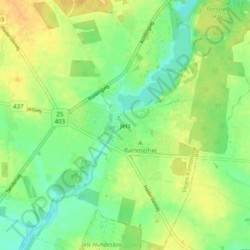 Topografische kaart Jels, hoogte, reliëf