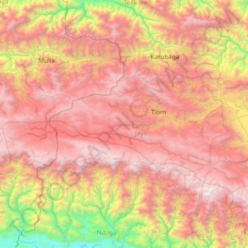 Topografische kaart Lanny Jaya, hoogte, reliëf