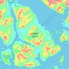 Topografische kaart Mitkof Island, hoogte, reliëf