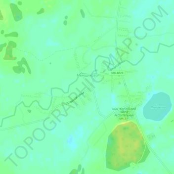 Topografische kaart Менщиково, hoogte, reliëf