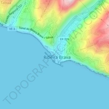 Topografische kaart Ribeira Brava, hoogte, reliëf